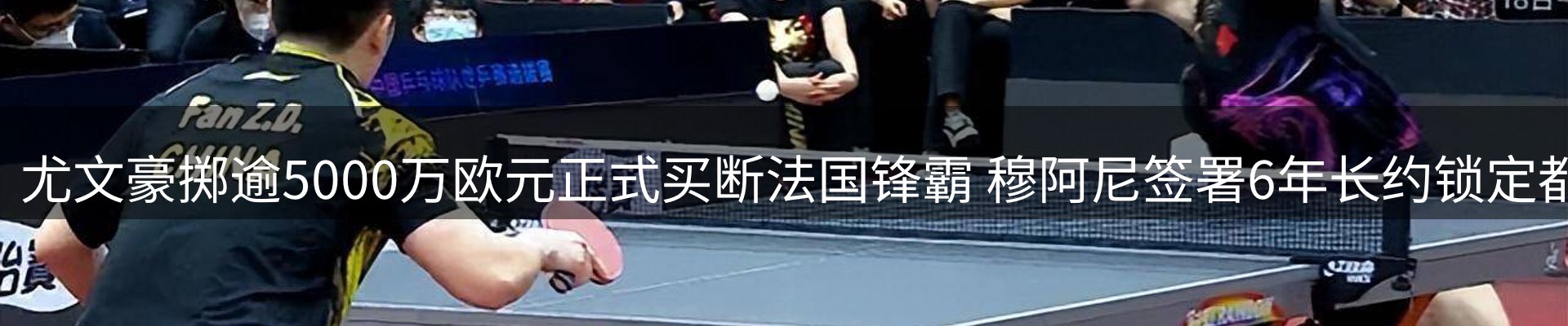 最新资讯
